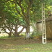 Long Duong Photo 15