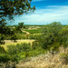 Elliot Robles Photo 2