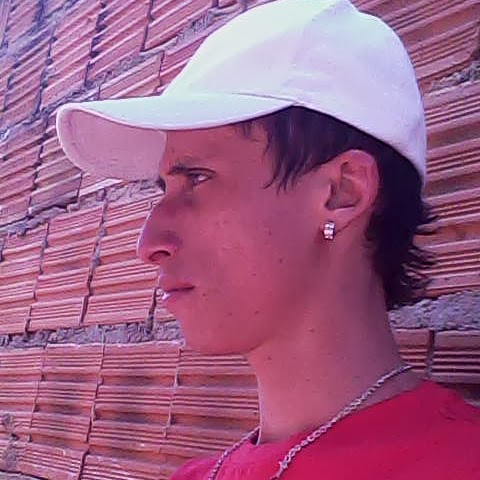 Hamilton Almeida Photo 8