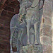 Stephen Stein Photo 9