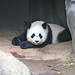Lan My Photo 5