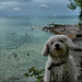 Constance Sweet Photo 2