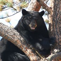 Mark Suiter Photo 6