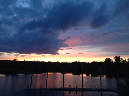 Gary Robins Photo 14