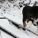 Monty Law Photo 6