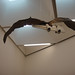 Yong Huang Photo 8