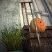 Jeremy Birns Photo 5