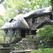Anne Sarsfield Photo 5