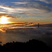 Richard Hawks Photo 8
