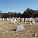 William Erath Photo 9
