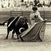 Cesar Jimenez Photo 9
