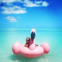 Jessica Brodd Photo 4