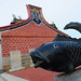 Shuang Li Photo 13