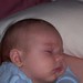 Andrew Nan Photo 8