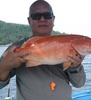 William Han Photo 42