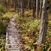 Steven Brooks Photo 14