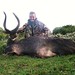 John Arba Photo 8