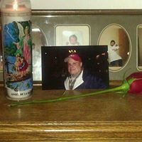 Robert Wight Photo 19
