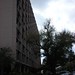 Carol Perez Photo 4