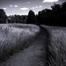 Don Weiss Photo 9