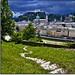 Laurie Bergeron Photo 11
