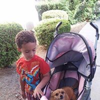 Susan Elmore Photo 28