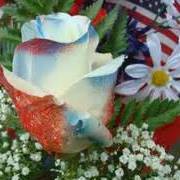 Ann Sauer Photo 29