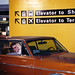 Craig Koch Photo 8
