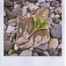 Terri Birch Photo 2