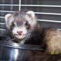 Thomas Capps Photo 24