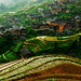 Ping Li Photo 8