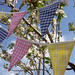 Deborah Sparks Photo 8