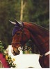 Maria Cortes Photo 40