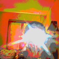 Timmy Yang Photo 4
