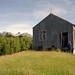 Carol Corcoran Photo 16