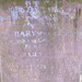 Mary Bateman Photo 11