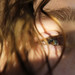 Mark Fleck Photo 7