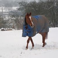 Brenda Davison Photo 27