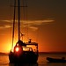 Stephen Bays Photo 4