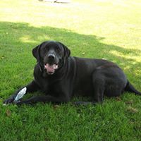 Vickie Thompson Photo 14