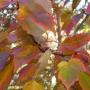 Ann Barton Photo 30