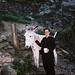 Anne Harrison Photo 13