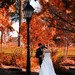 Amanda Houser Photo 10