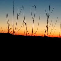 Donna Crosby Photo 28