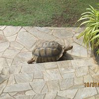Josefa Bautista Photo 19