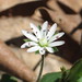 Rick Hazen Photo 10