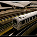 Timothy Saarinen Photo 8
