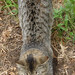 Kitty Yau Photo 10
