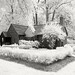 Frances Ford Photo 10