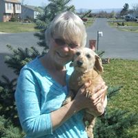 Elizabeth Schneider Photo 53